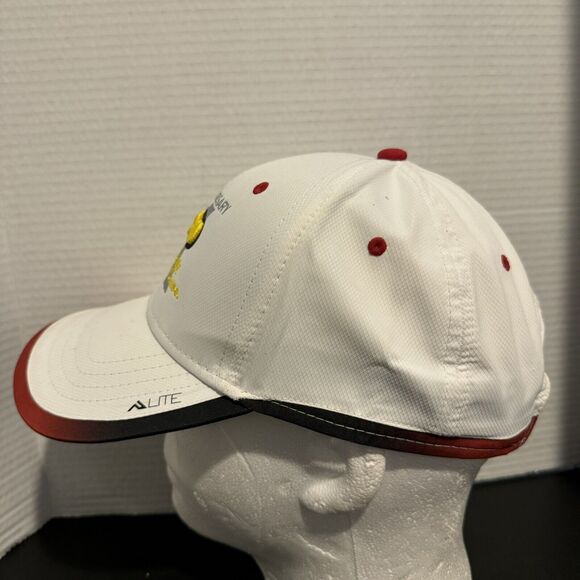 ASCO 10th Anniversary Hat Cap Adjustable Football Classic Rallying For A Cause - Picture 4 of 8